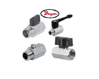 Van bi đồng cỡ nhỏ Series Mv - Radix/ Ấn Độ